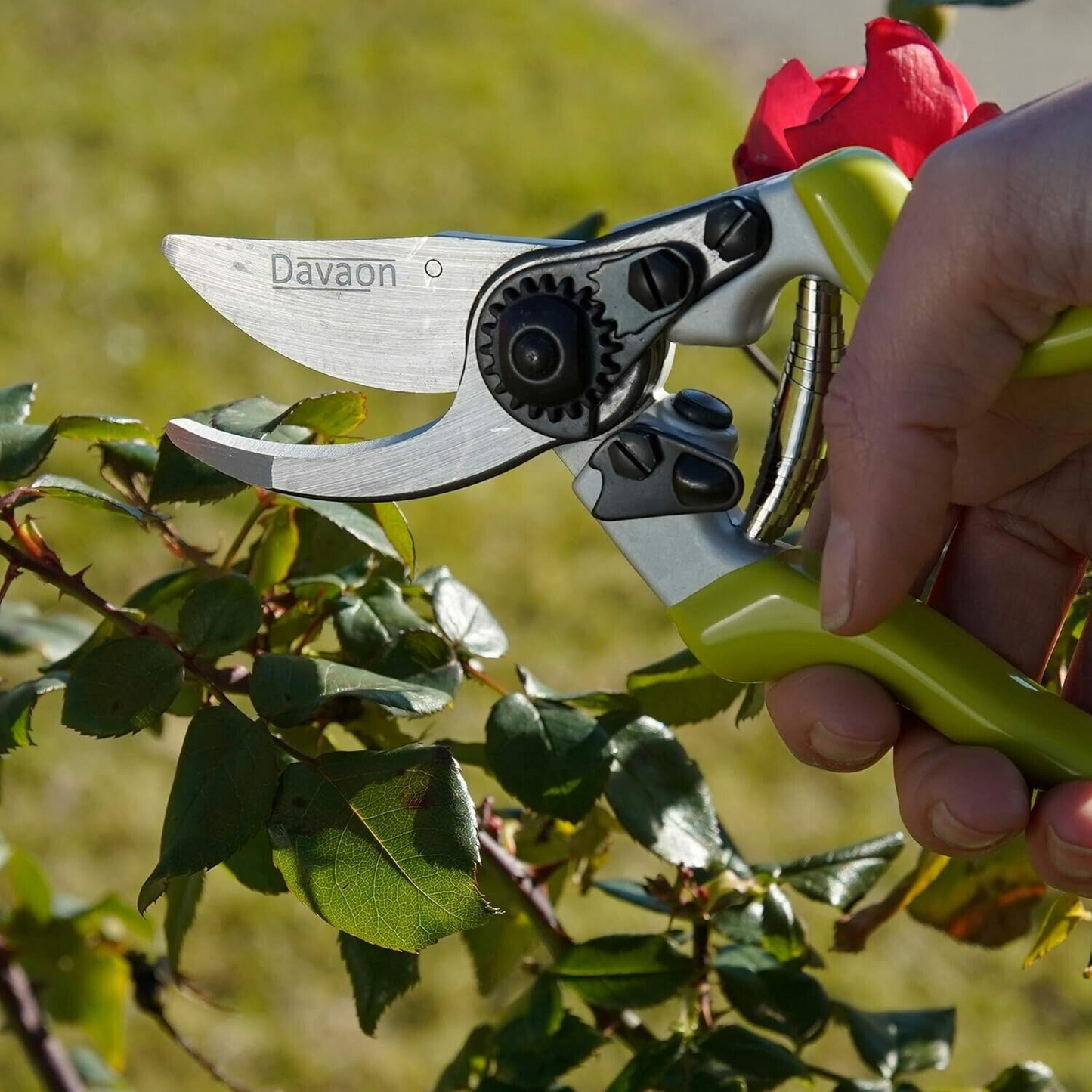 Davaon Anvil Style Secateurs