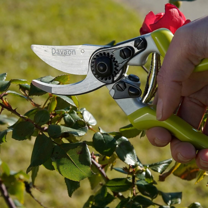 Davaon Anvil Style Secateurs