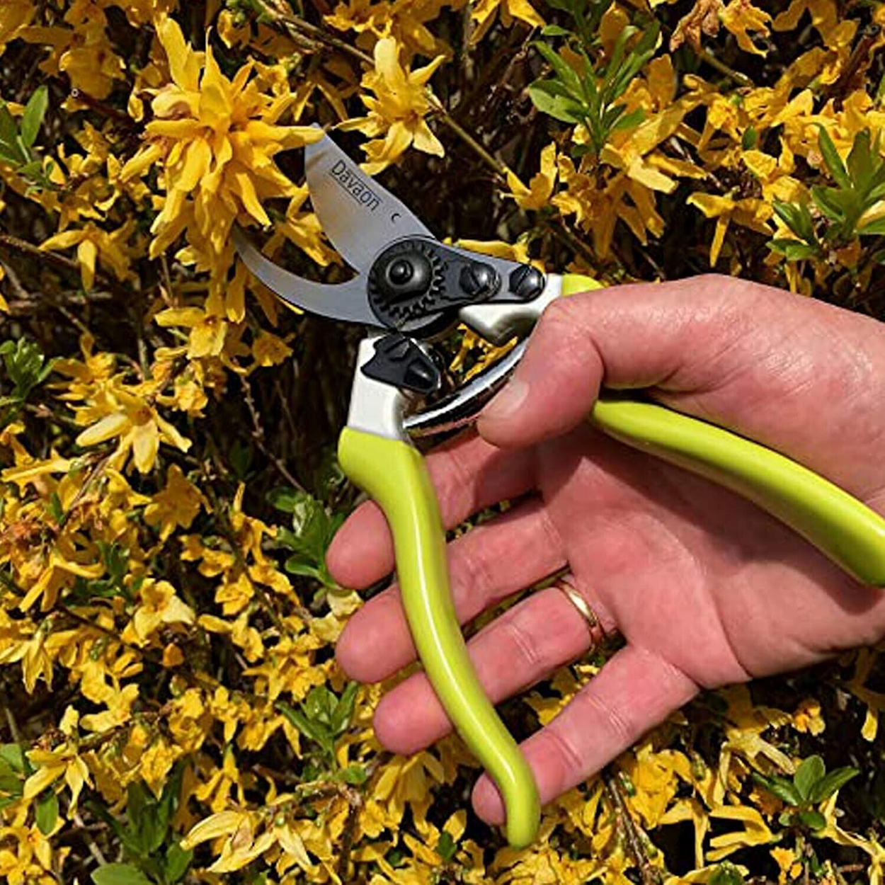 Davaon Anvil Style Secateurs